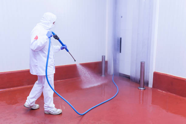 Best Driveway Pressure Washing  in Rolling Hills, CA